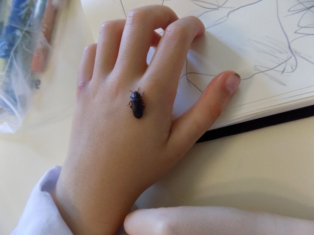 Os Yscientists continuam a investigar o planeta & arredores