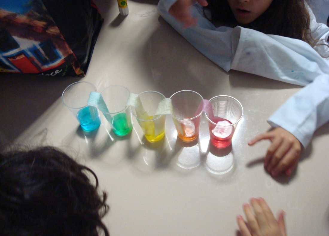 Yscience colorida no Oceanus