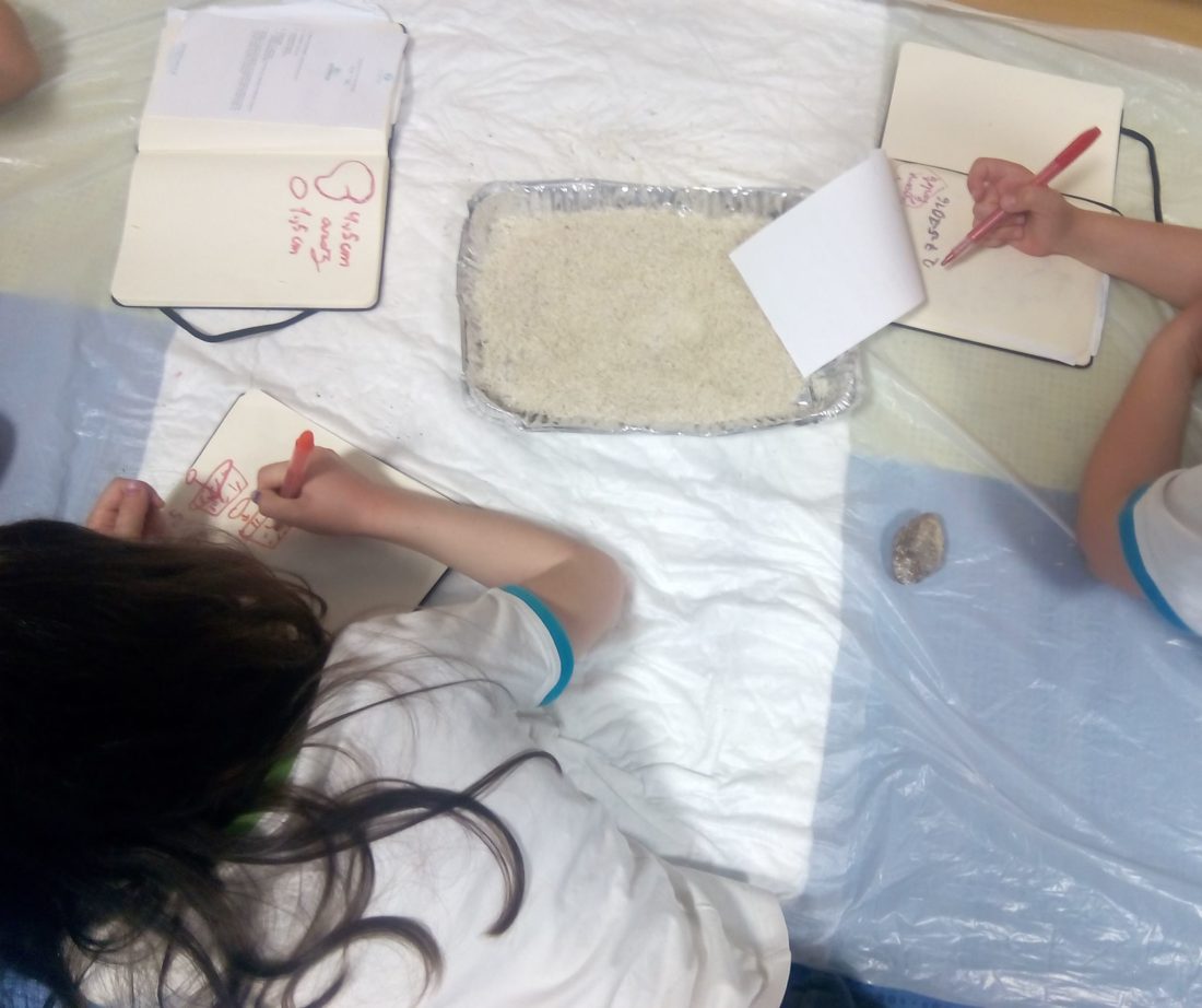 Yscientists investigam os viajantes do Espaço